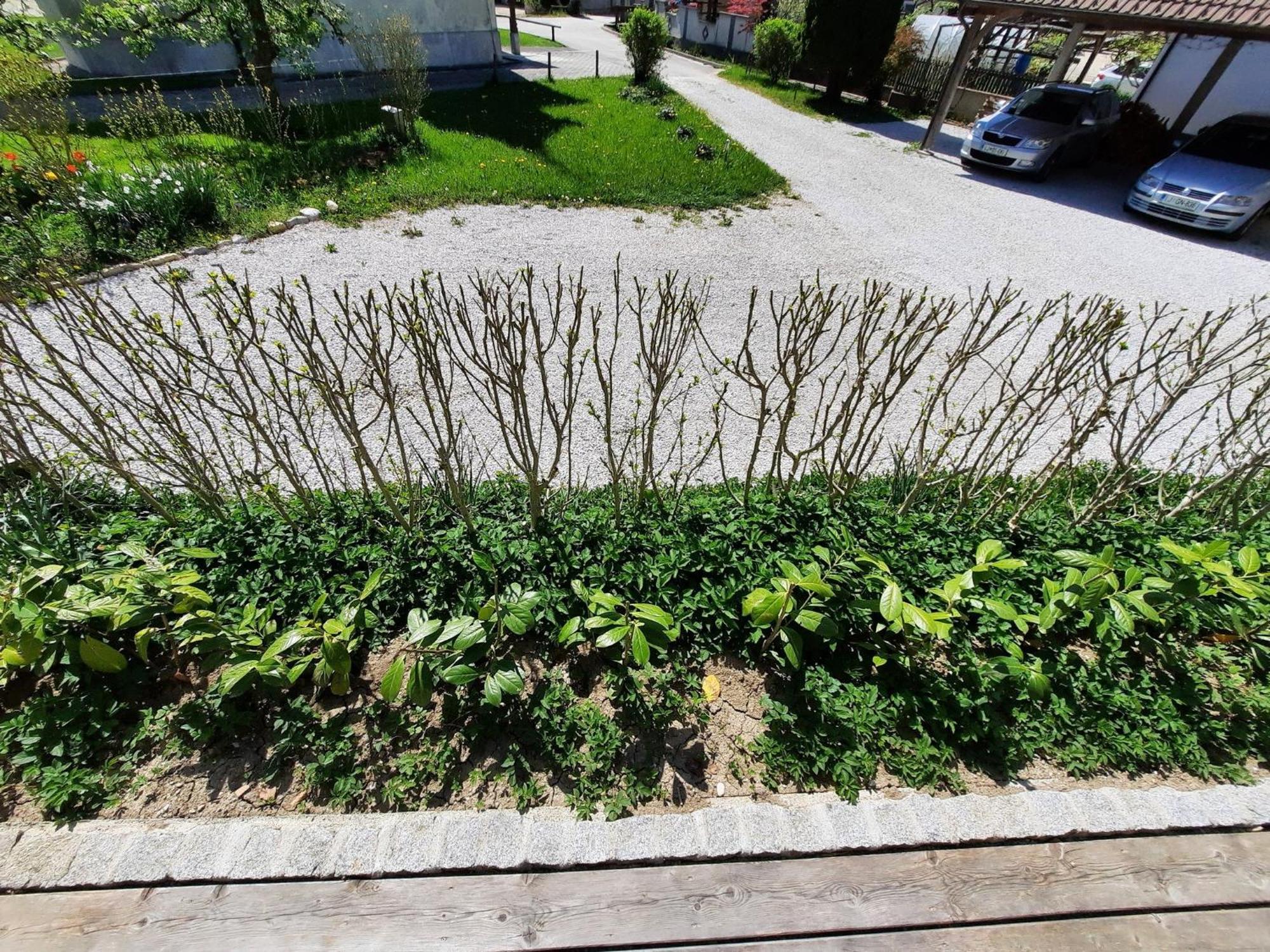 Apartment Alpipond Kamnik Dış mekan fotoğraf