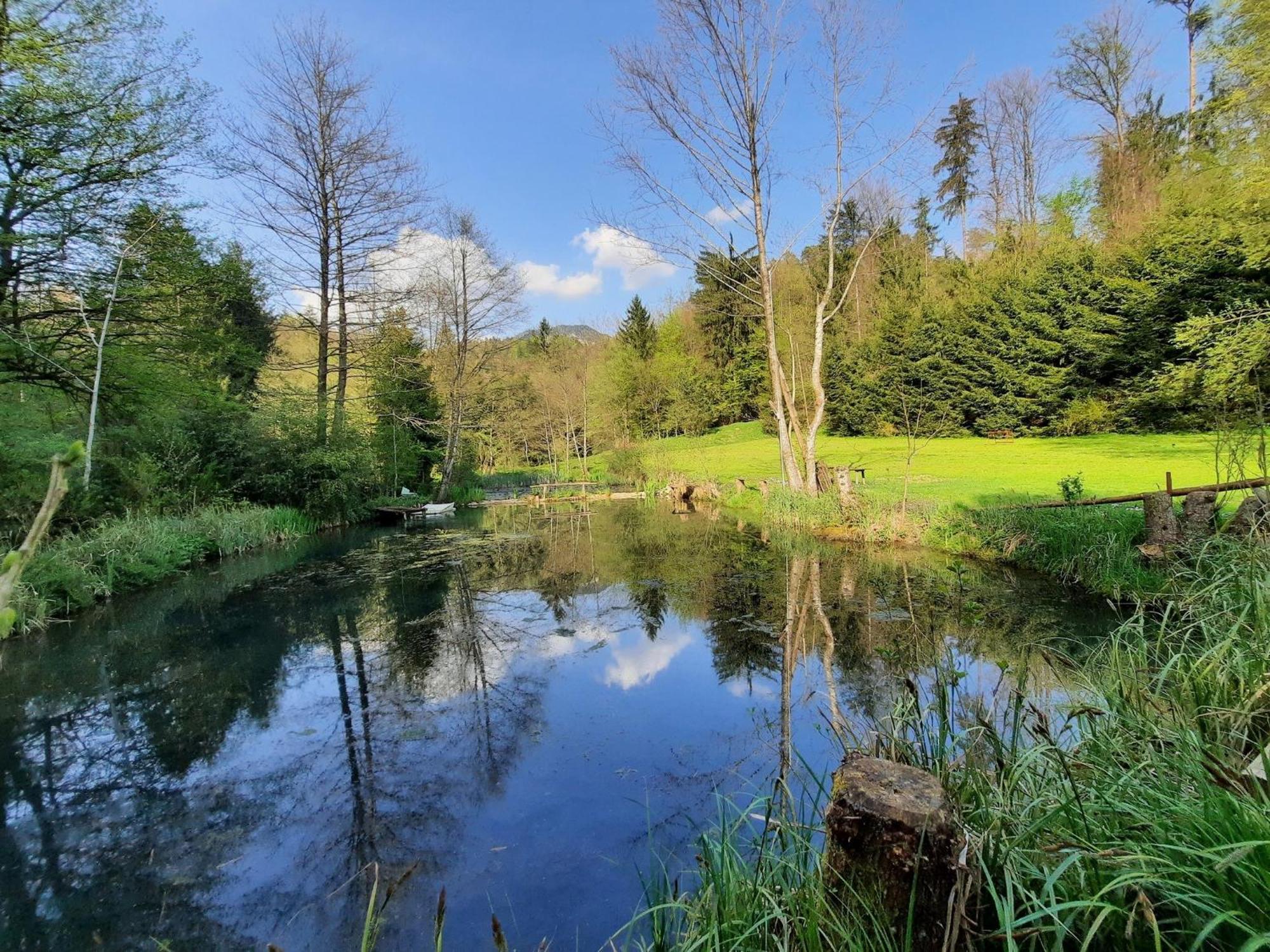 Apartment Alpipond Kamnik Dış mekan fotoğraf