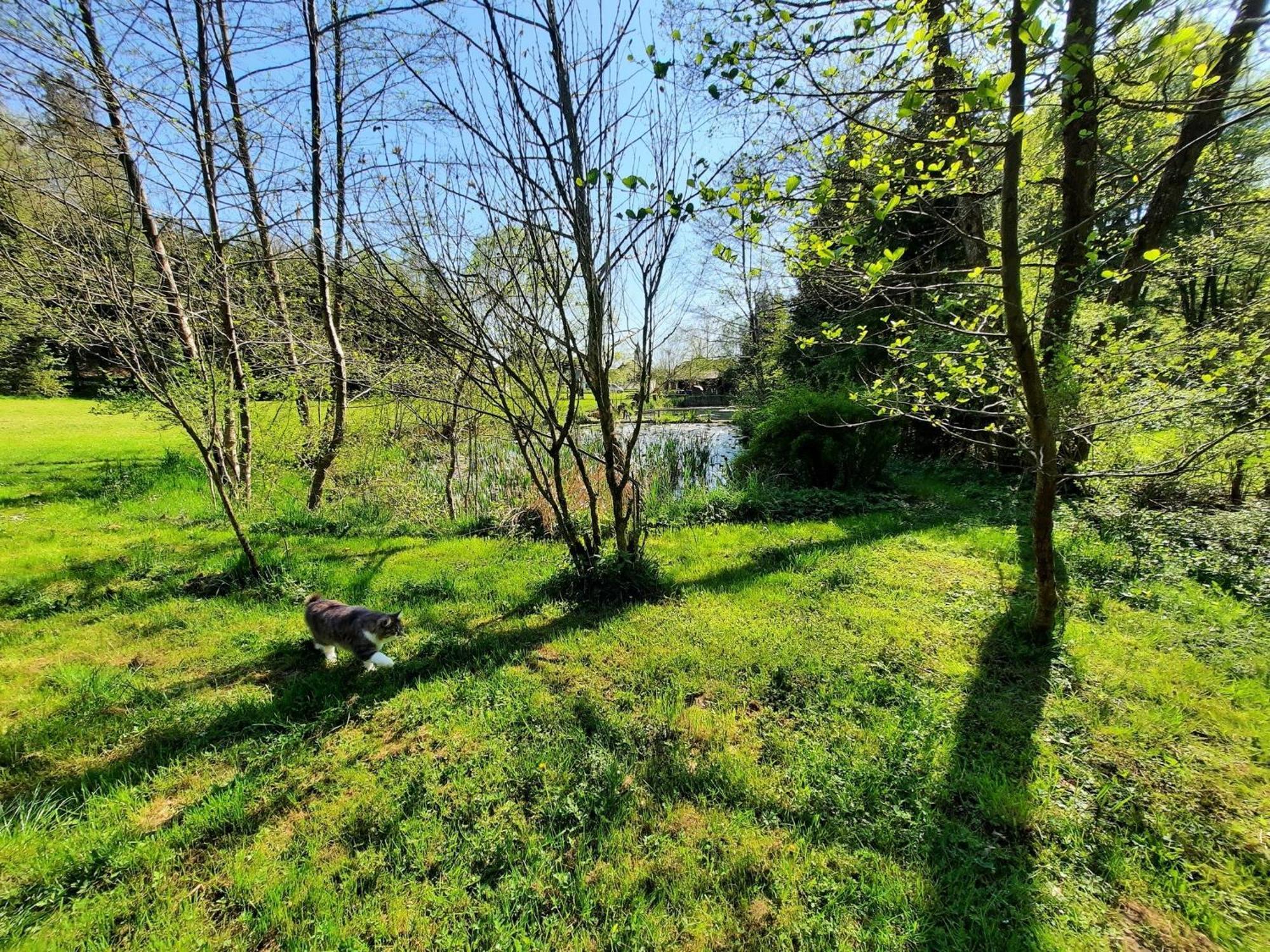 Apartment Alpipond Kamnik Dış mekan fotoğraf